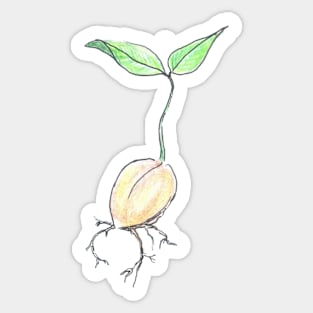 Avocado Sticker